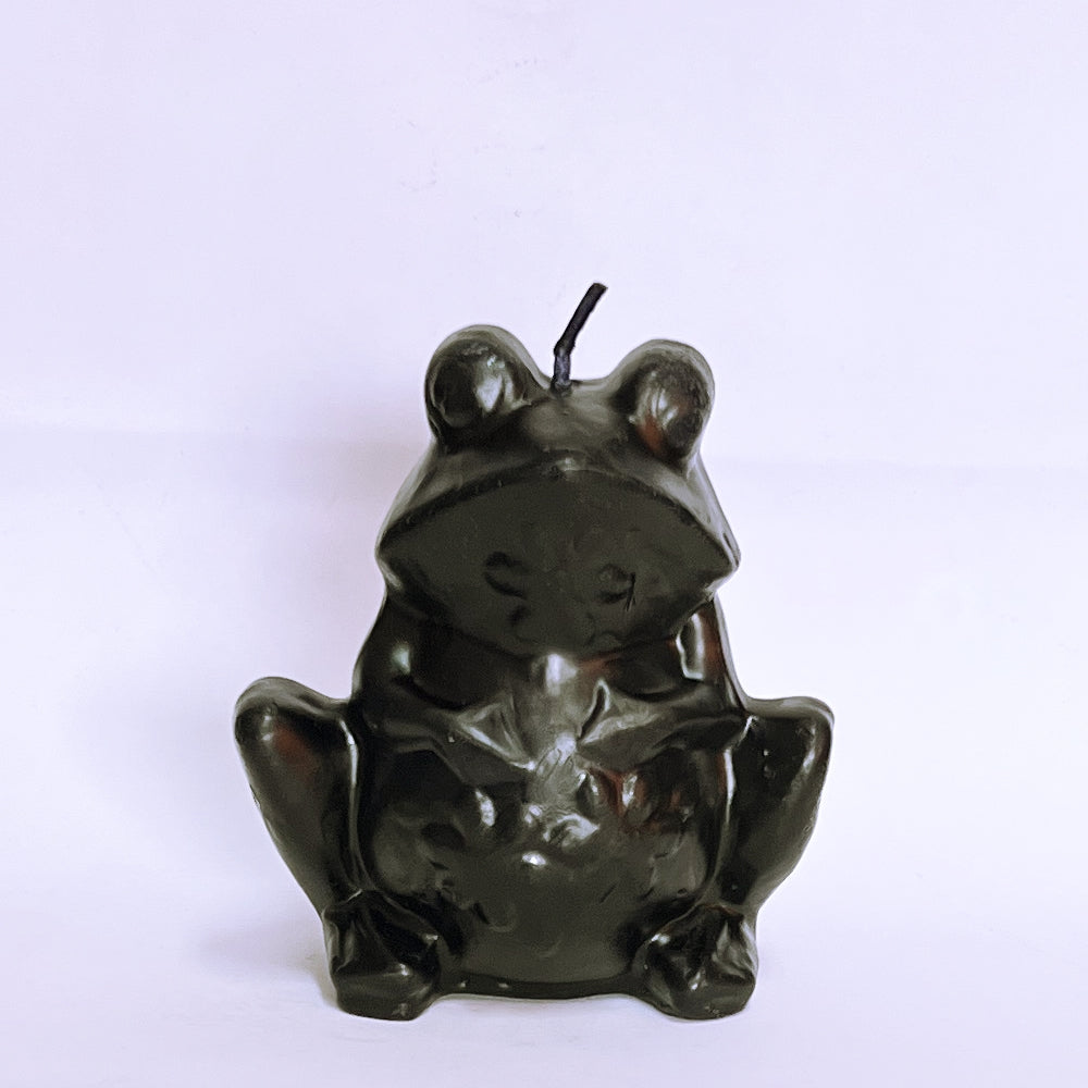 Black Frog Image candle